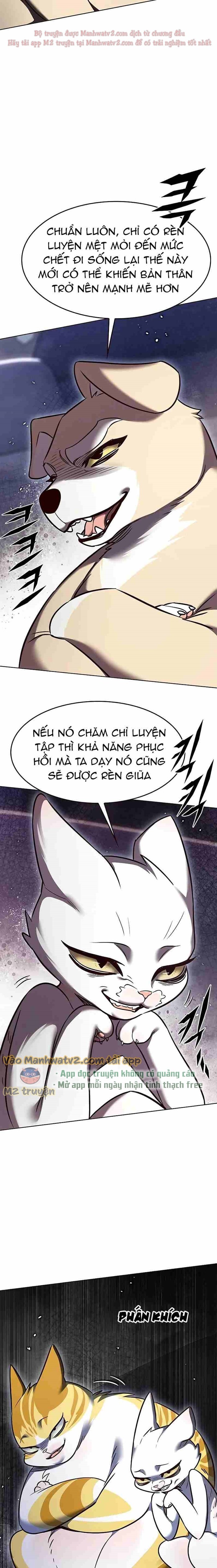 Đọc truyện Hóa thân thành mèo (Bản Free) - Chap 305